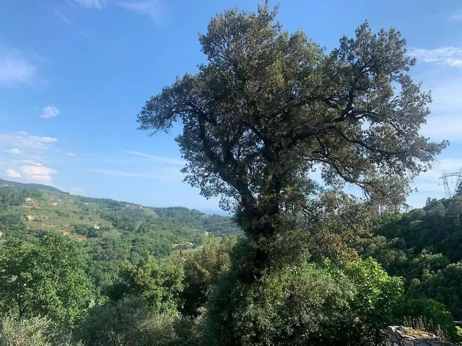 Ca La Liccia Villa Carignano  0*, Carignano (Tuscany) Italy